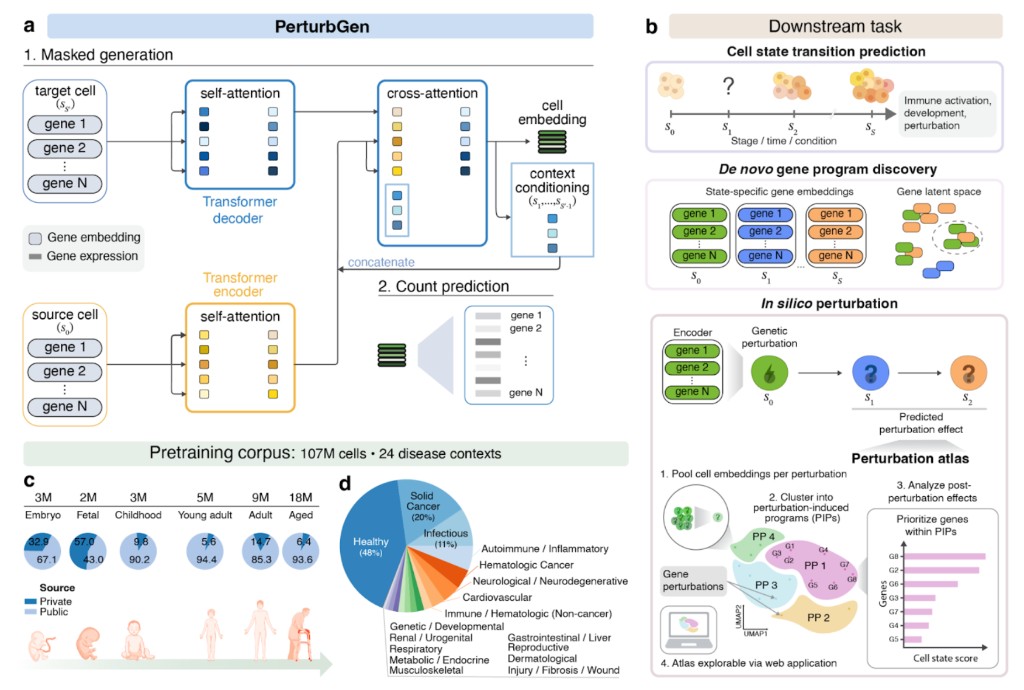 PerturbGen conceptual overview.